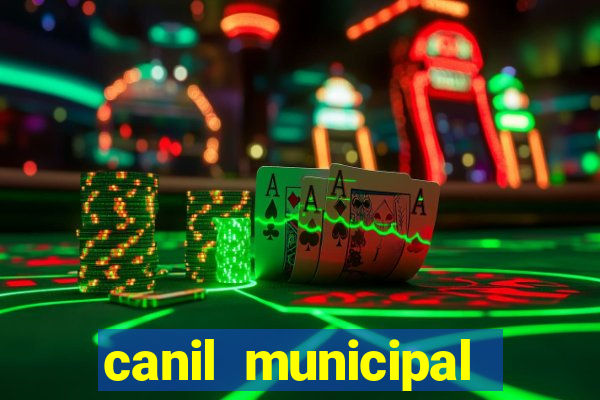 canil municipal porto alegre